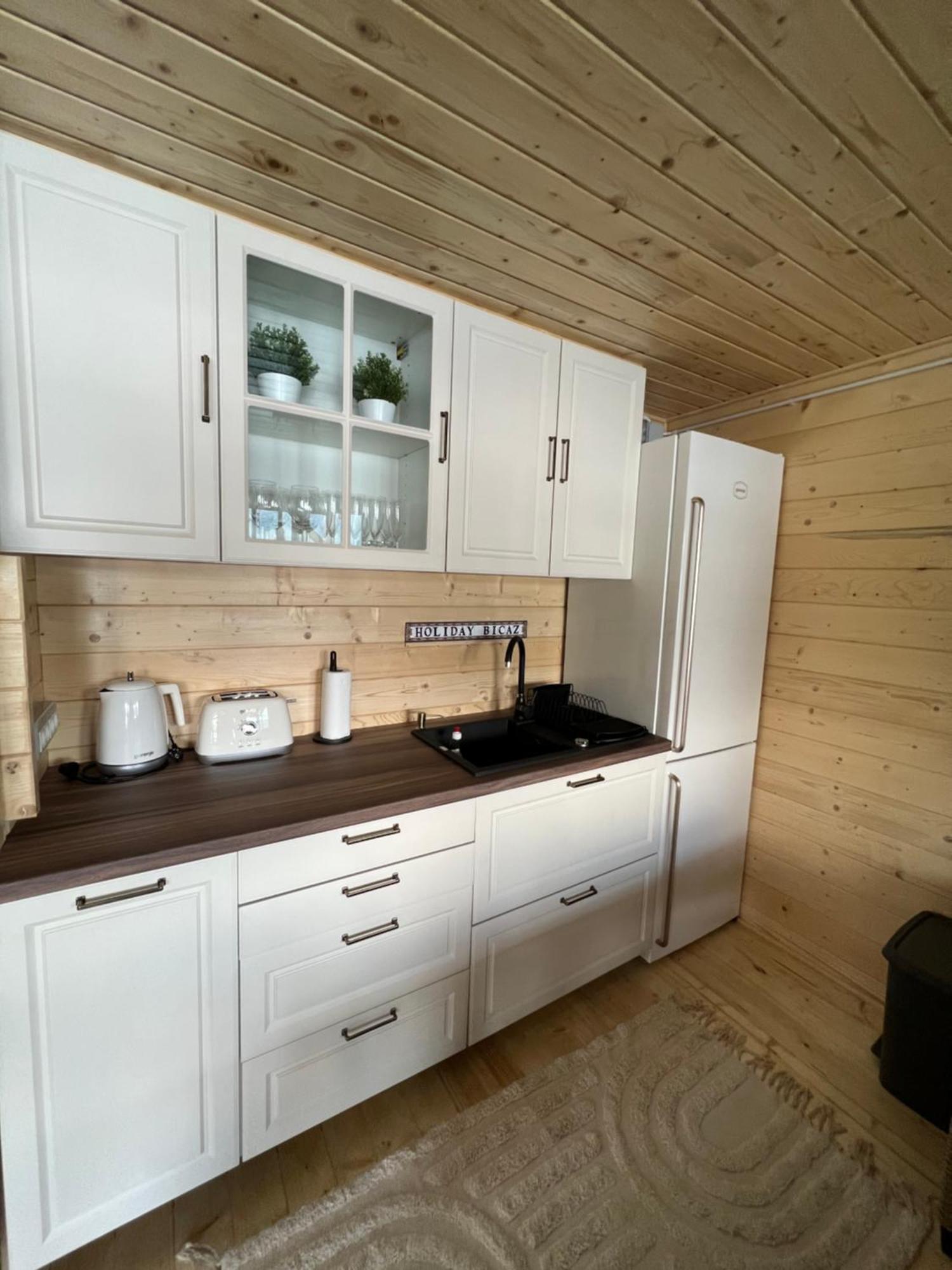 Holiday Bicaz Bungalows On The Lake Buitenkant foto